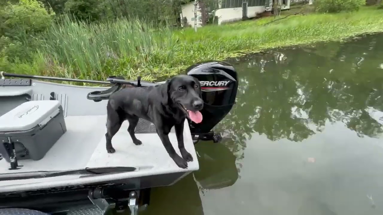 2025 StealthCraft Boats 16x54 Power Drifter Jet Sled With a Removable Casting Deck!!