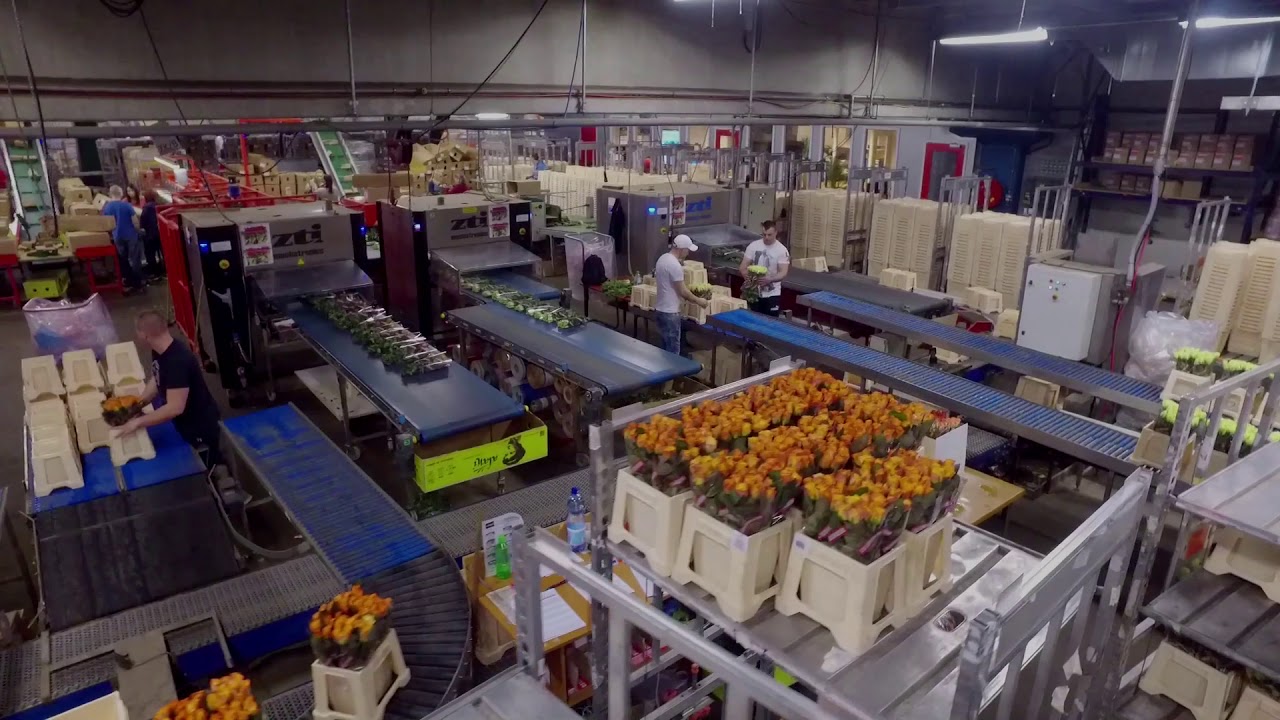 Fresco Flowers Corporate Movie