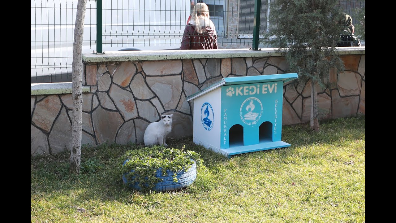 PAMUKKALE’DE AHŞAP ATIKLAR KEDİLERE EV OLUYOR