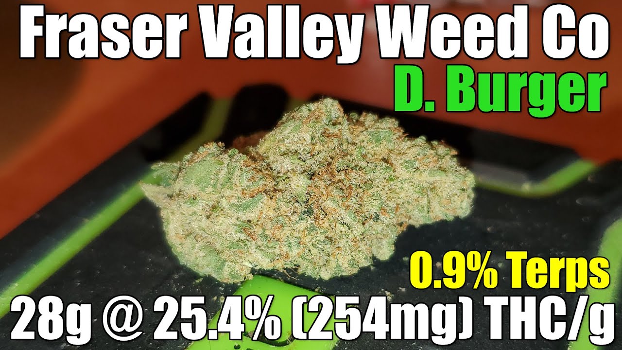 Fraser Valley Weed Co - D Burger - Review - 28g @ 25.4% (254mg) THC/g 0.9% Terps(+Extreme Closeups)