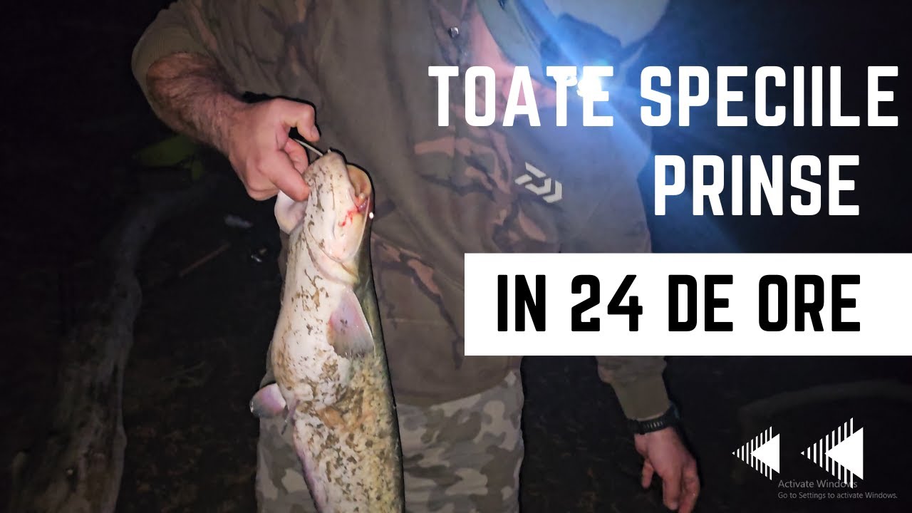 36 de ore pe malul Dunării: Ultima șansă înainte de prohibiție!