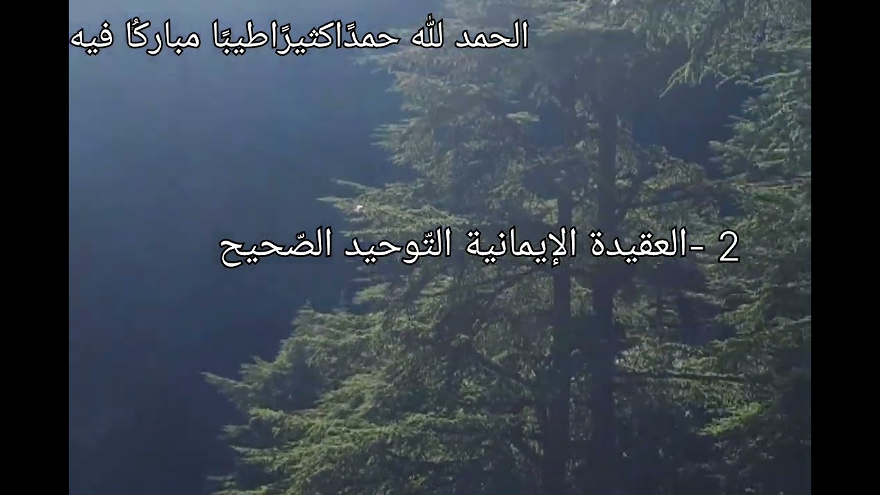 كيف أكتسب صفات الذّكاء الإجتماعي؟🔥 تجنّب الغباء الإجتماعي  | قناة ألهمني 