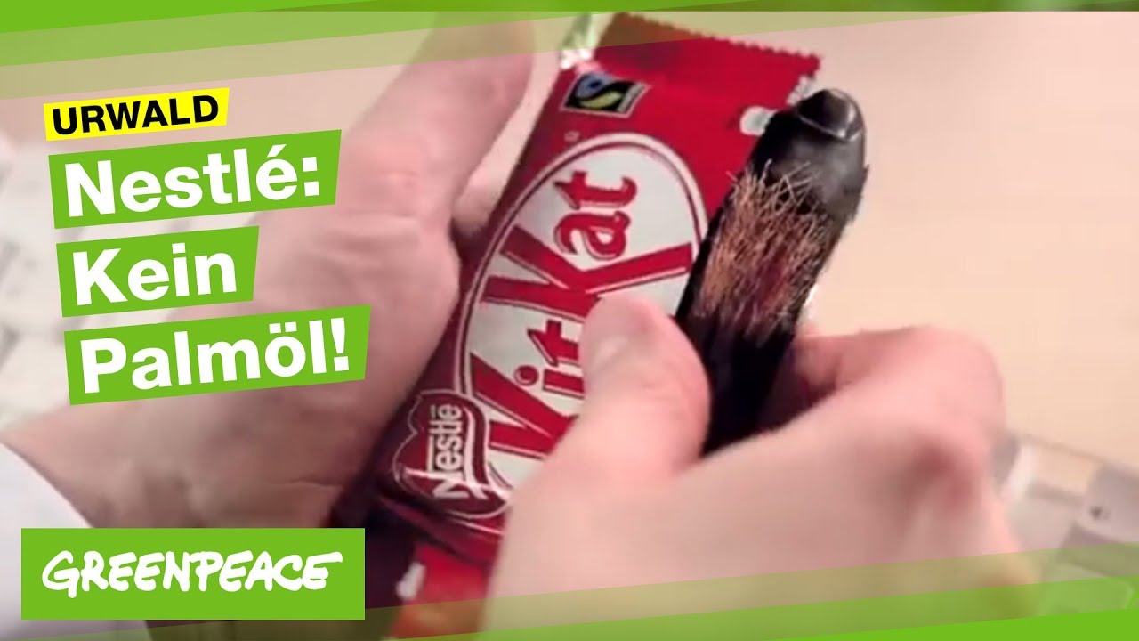 Nestlé, kein Palmöl aus Urwaldzerstörung!