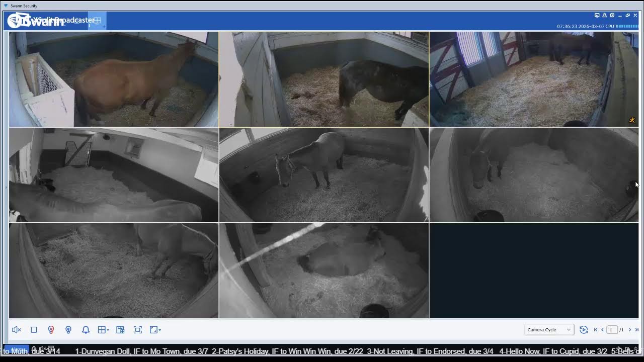 CLF Livestream 3/6/26