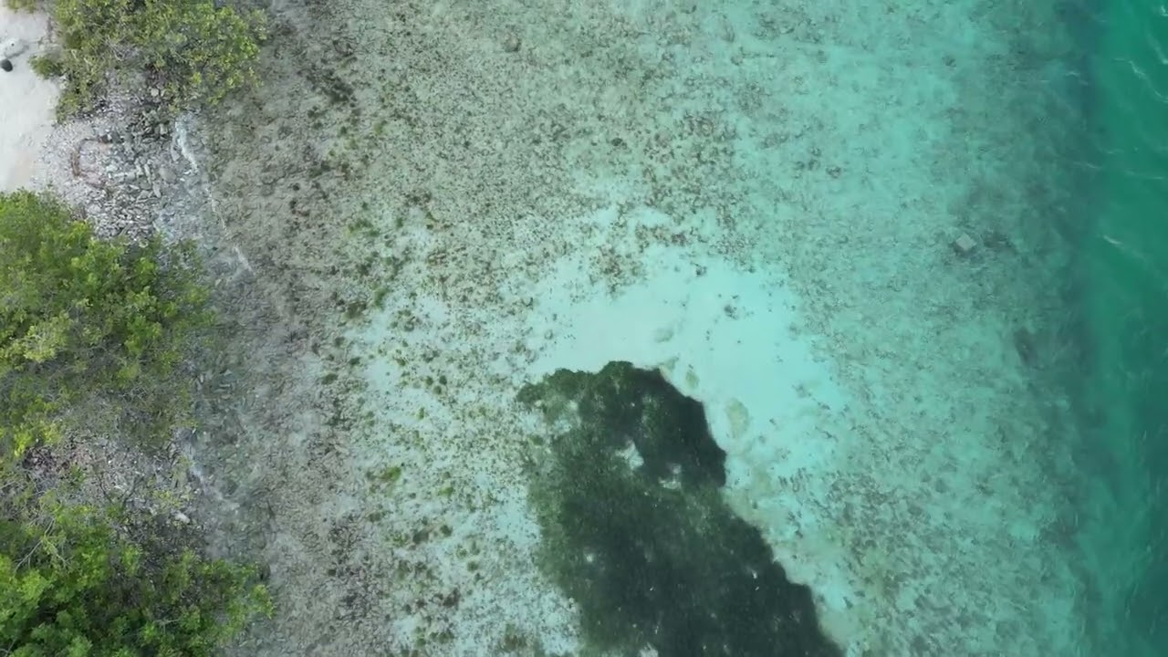 Ocean Drone shots