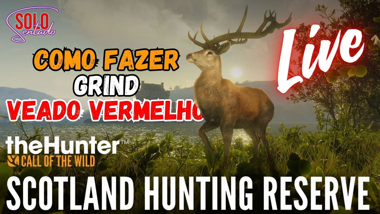 EM BUSCA DO GREAT VEADO-VERMELHO -Tòrr nan Sithean - THE HUNTER CALL OF THE WILD #livestream #cotw