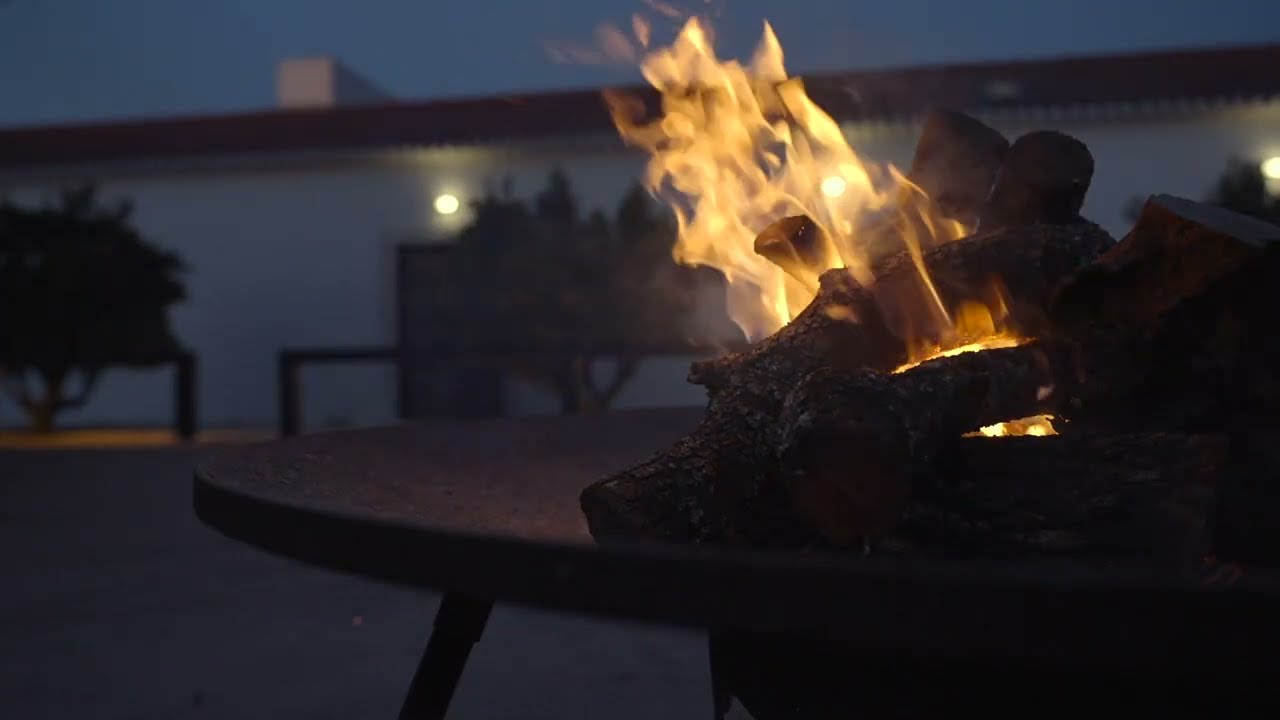 Torre de Palma Wine Hotel | Alentejo | Portugal