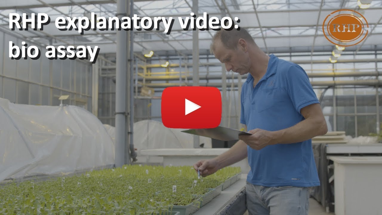 RHP explanatory video - Bio assay