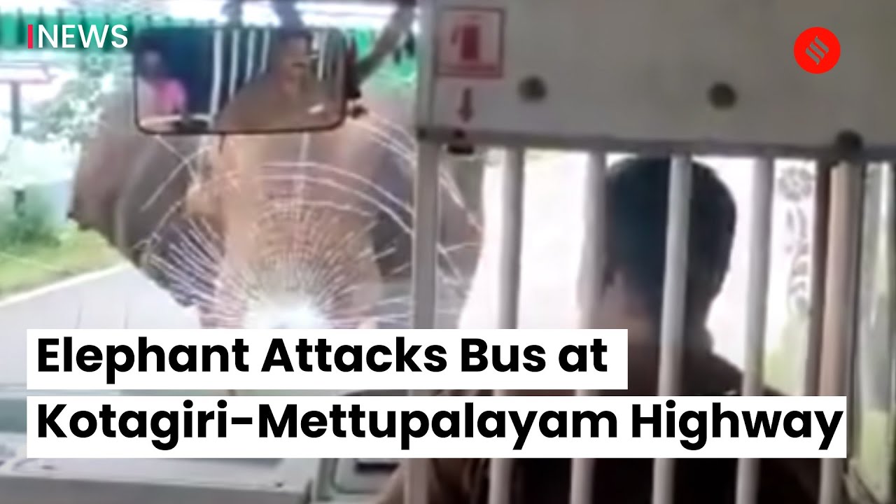 Elephant Attacks Bus at Kotagiri-Mettupalayam Highway