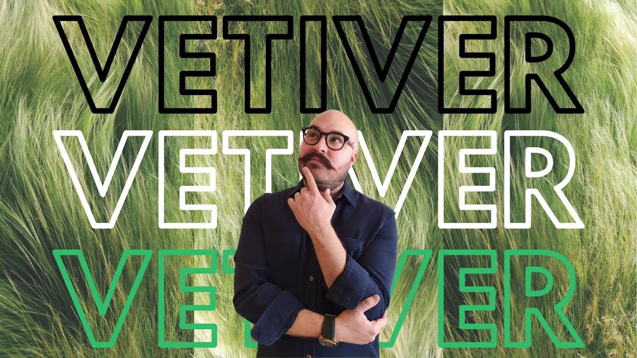 | Las distintas presentaciones del Vetiver | My Scent Journey