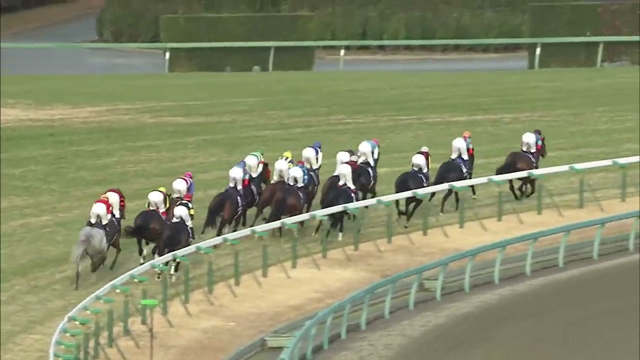 Gold Ship's 2012 Arima Kinen with BGM