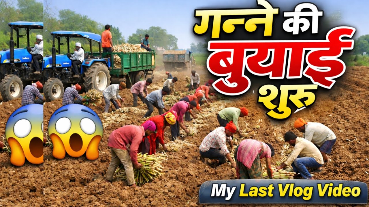 आज गन्ने की बुआई शुरू 🌾 | 15 लोगों ने मिलकर बोया गन्ना | Village Farming Vlog