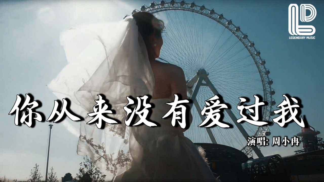周小冉 - 你从来没有爱过我 (抖音热播DJ版) Ni Cong Lai Mei You Ai Guo Wo『只剩街边的路灯 在配着我飘啊飘，住在回忆中的人 想忘也忘不掉』热门爆火版『动态歌词MV』