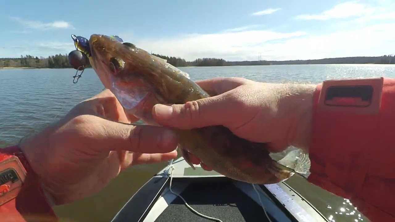 Открытие Лодочного Сезона 2022, Что Рисует Эхолот?, Готовим Еду на Острове.