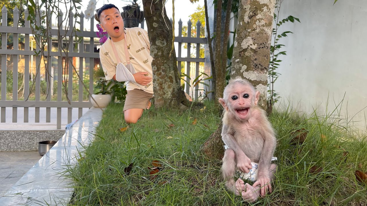 Cubis ran away to play making dad worried!