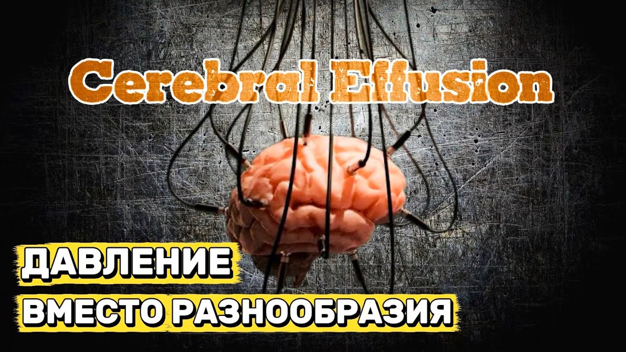 «Это не музыка»? Cerebral Effusion и ненависть к brutal death metal 