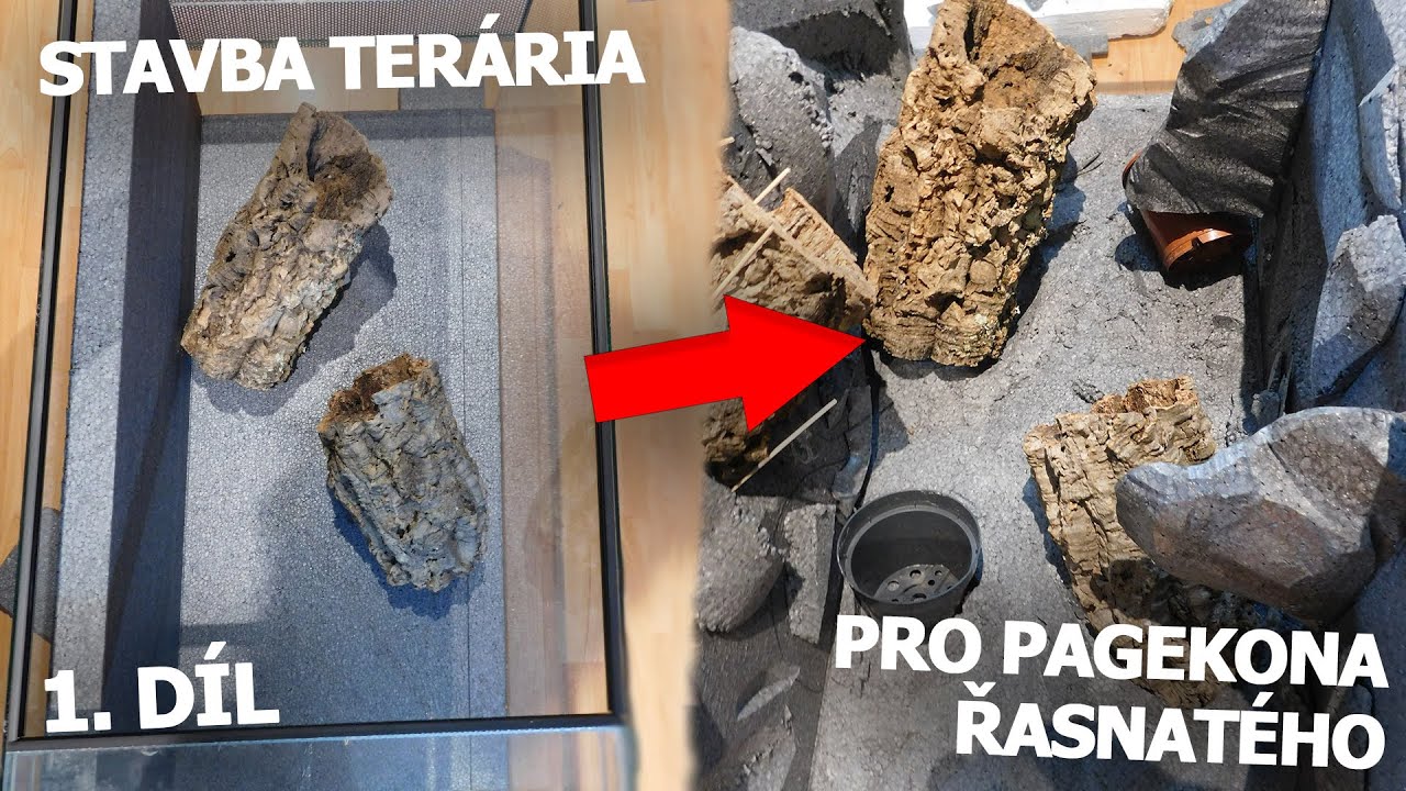 3D STĚNA DO TERÁRIA - DIY 1/3