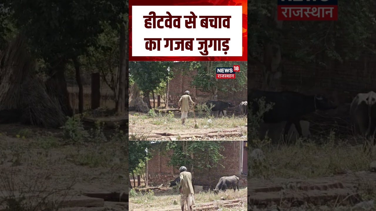 Rajasthan Farmer Viral Video : Heatwave से बचाव का शख्स ने निकाला कमाल का जुगाड़! | N18S | Weather