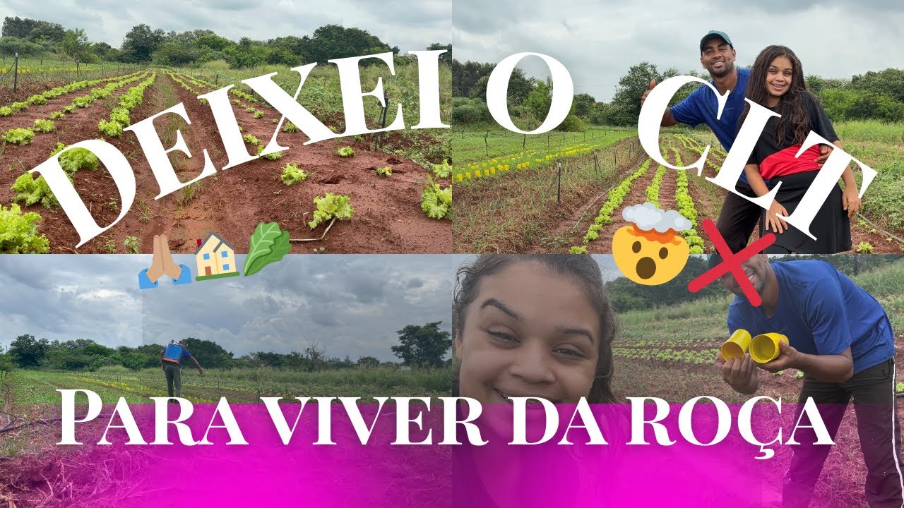 LARGUEI O CLT PARA VIVER DA ROÇA: Minha nova rotina no campo! #agricultura 