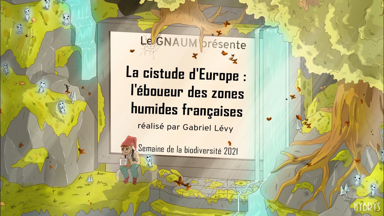 La cistude d&rsquo;Europe, l&rsquo;&eacute;boueur des zones humides fran&ccedil;aises