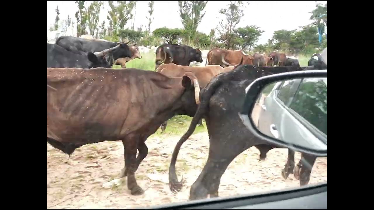 POV: Driving Home for Christmas | Harare to Mutangadura, Goromonzi 🇿🇼