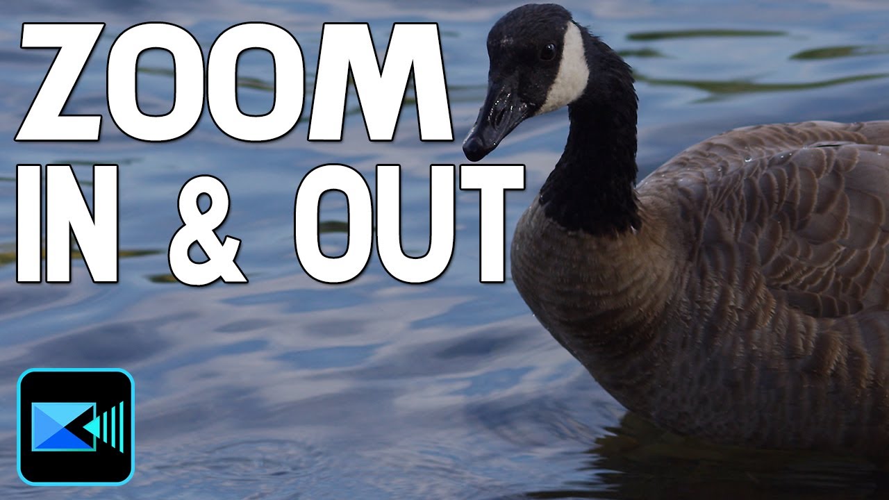 Zoom In and Out with Pan & Zoom | PowerDirector