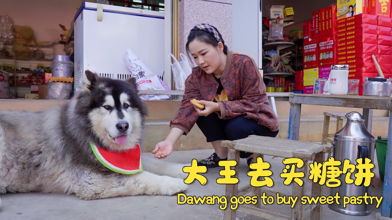 大王赶集去买糖饼 | Dawang went to the market to buy sweet pastry