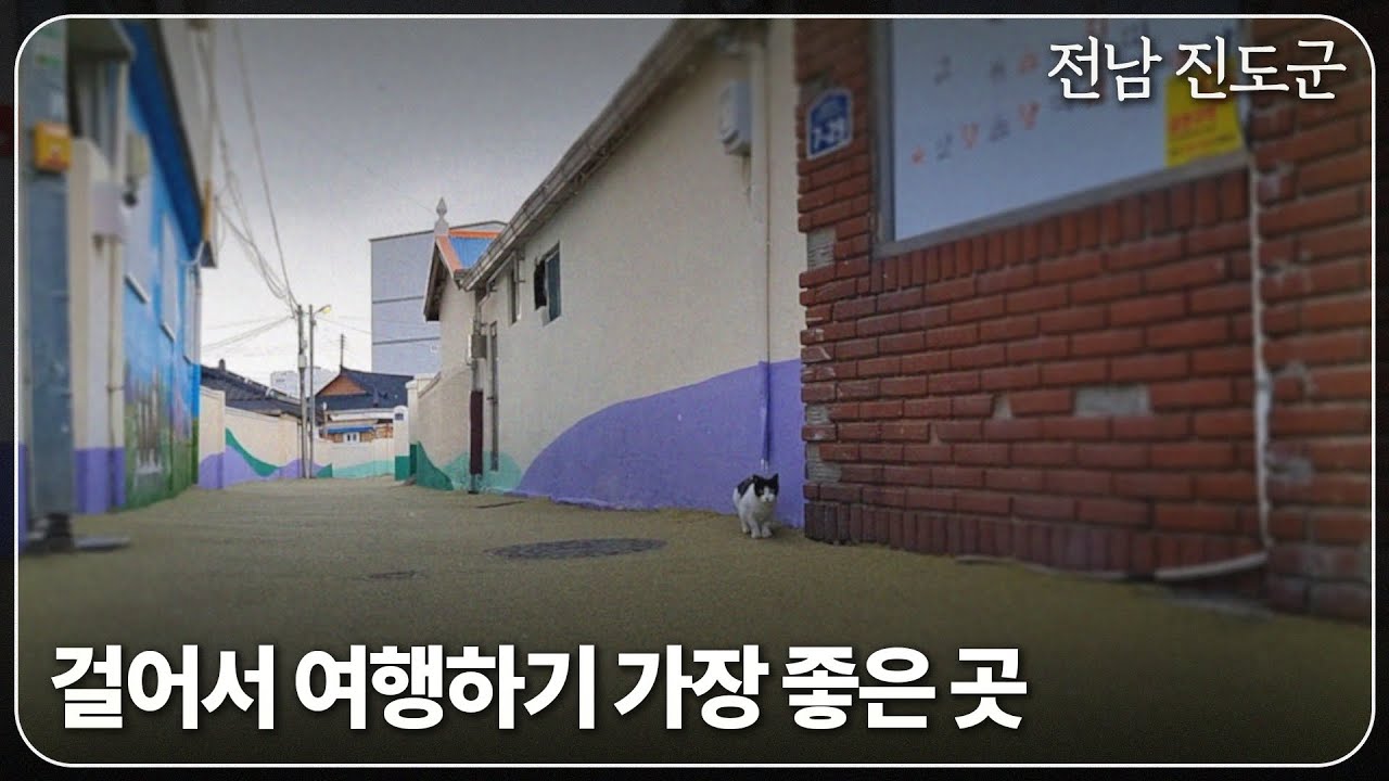 혼자 대충 걷다오니 재충전된 여행지 | 전남 진도군 읍내 여행