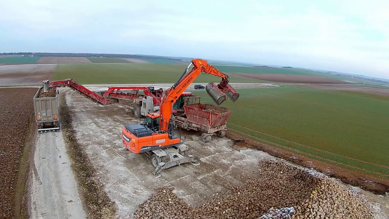CHARGEMENT et DETTERAGE des betteraves dans la Marne