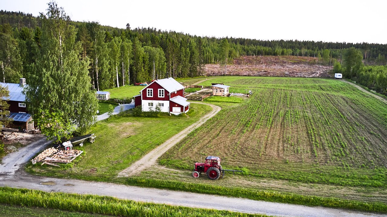Homestead Update // Green Manure & Boat Picnics