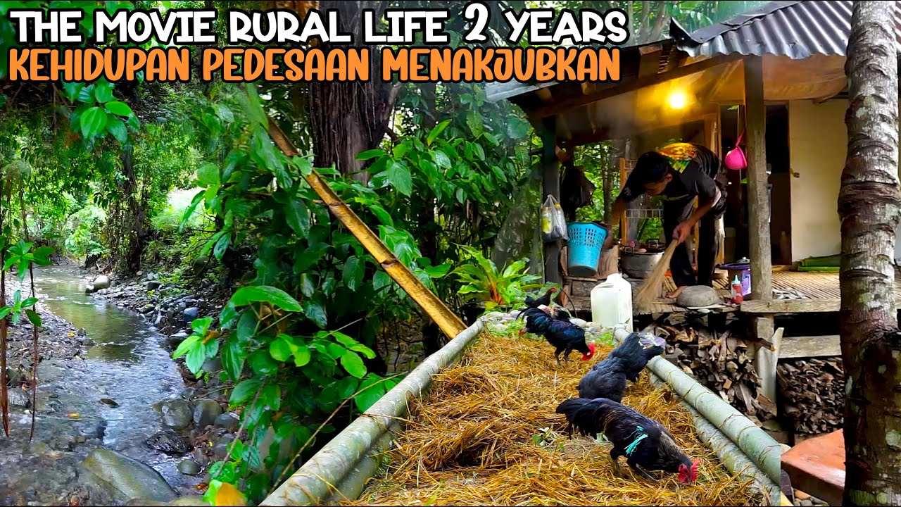 2 TAHUN HIDUP DI RUMAH PONDOK TEPI SUNGAI, MENANAM, PANEN, MEMASAK DAN BETERNAK. SURGA TERSEMBUNYI