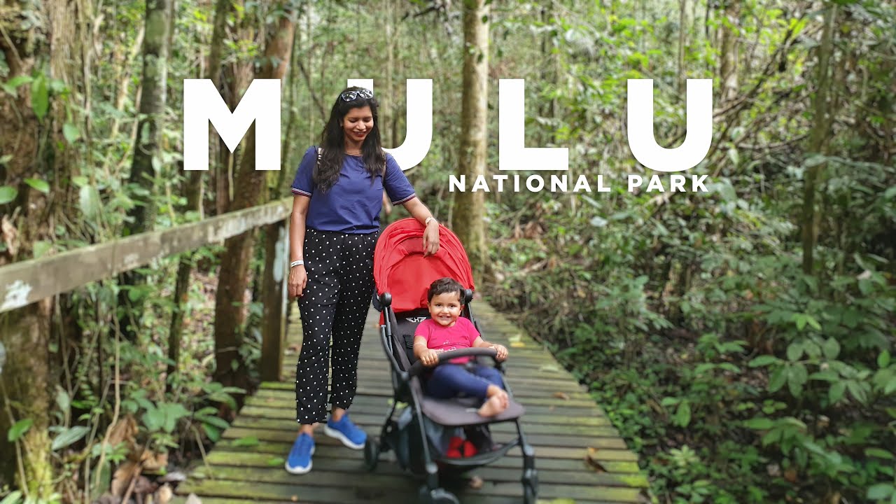 Gunung Mulu National Park Malaysia | Explore Borneo