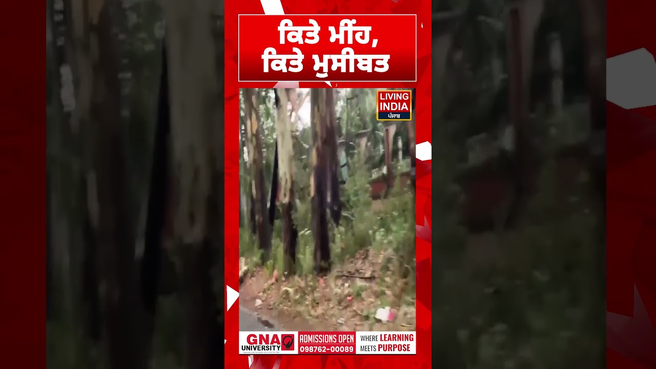 ਕਿਤੇ ਮੀਂਹ, ਕਿਤੇ ਮੁਸੀਬਤ | Rain In Punjab | Weather News