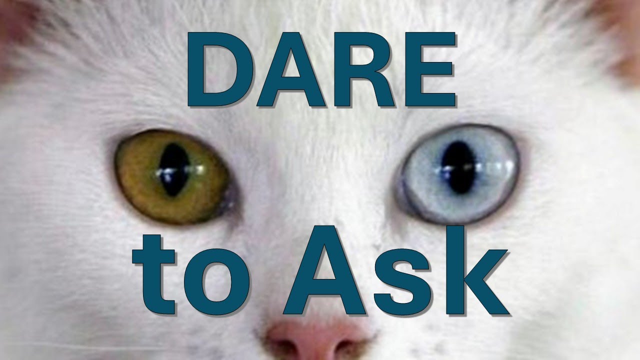 Negotiation Tool - Dare to Ask