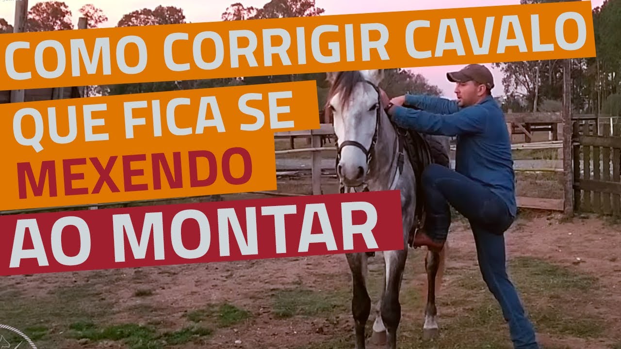 Como corrigir CAVALO QUE NÃO PARA PRA MONTAR