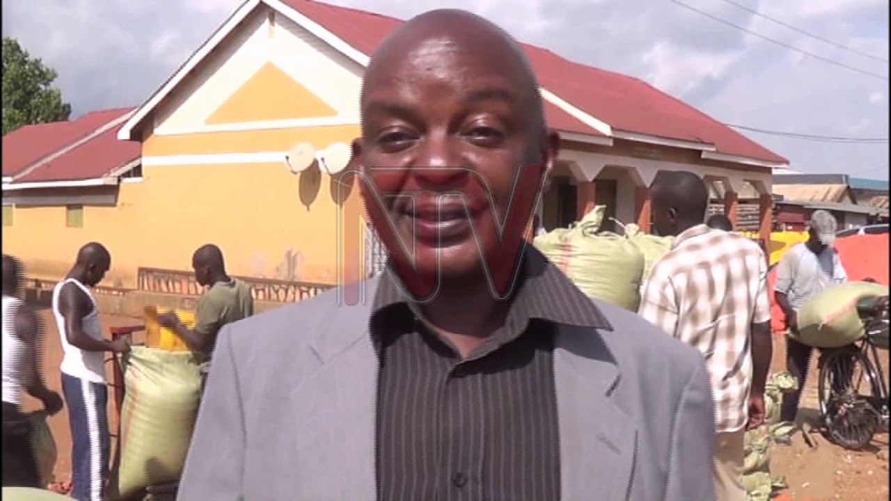 Kenyan traders protest maize ban