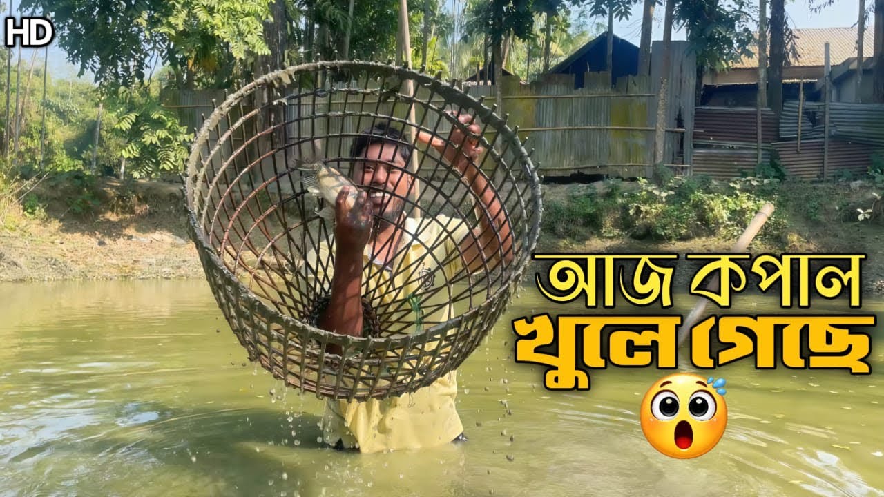 পল এবং শিকজাল দিয়ে ধরলাম অনেক মাছ | Traditional Fishing Bangladesh