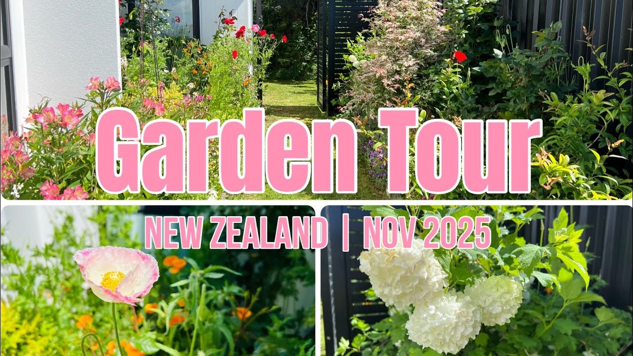 November Garden Tour | Spring Blooms & Lush Greenery in New Zealand 