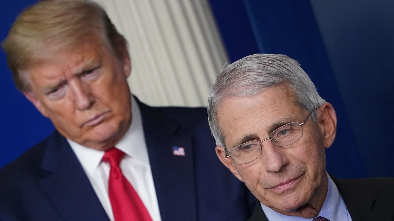 Дональд Трамп сталкивается со своим главным советником по COVID-19 доктором Энтони Фаучи
