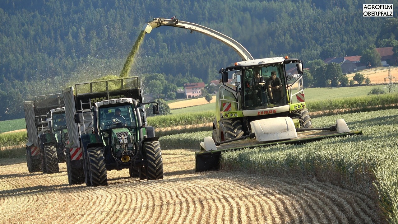 Jaguar frisst sich durch den Weizen - GPS häckseln mit Claas Jaguar 960 - Lohnunternehmen Bücherl