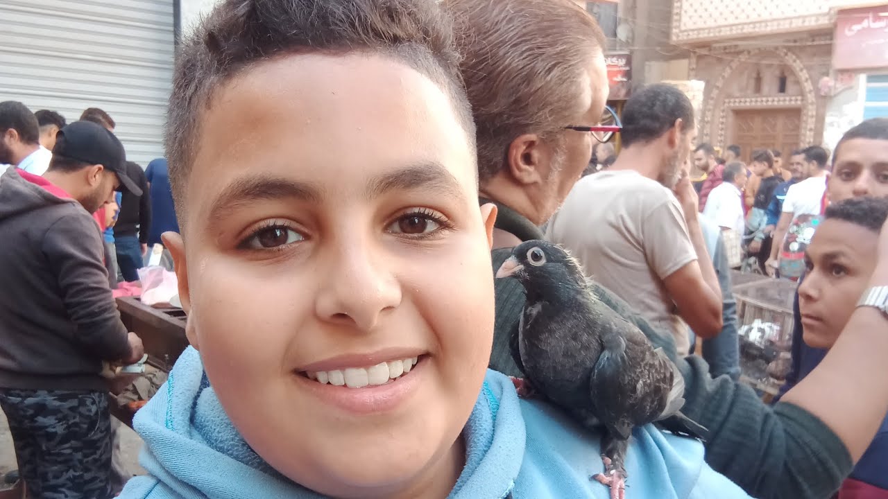 اسعار سوق حمام دمنهور الجمعه 1/11/2024
