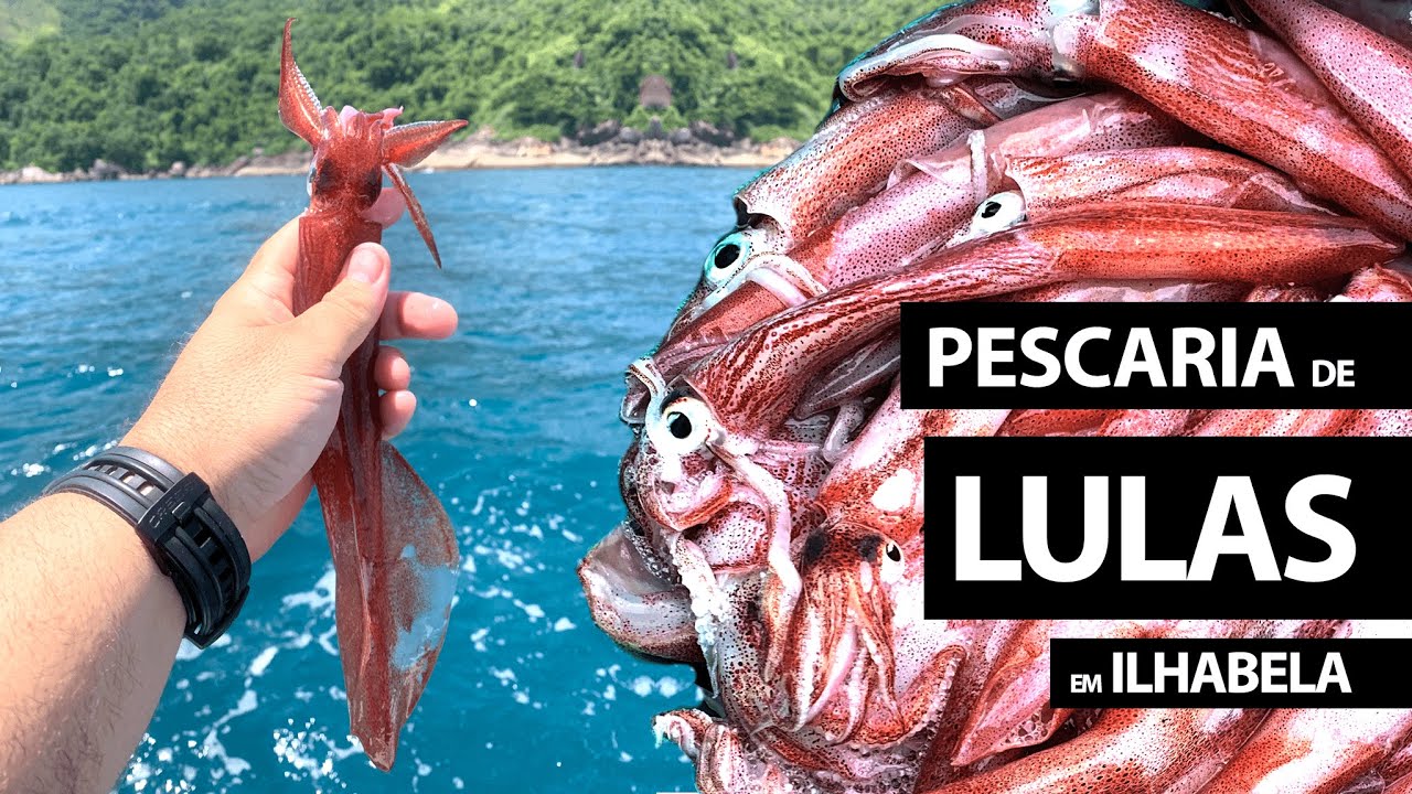 Pescaria de Lula em Ilhabela