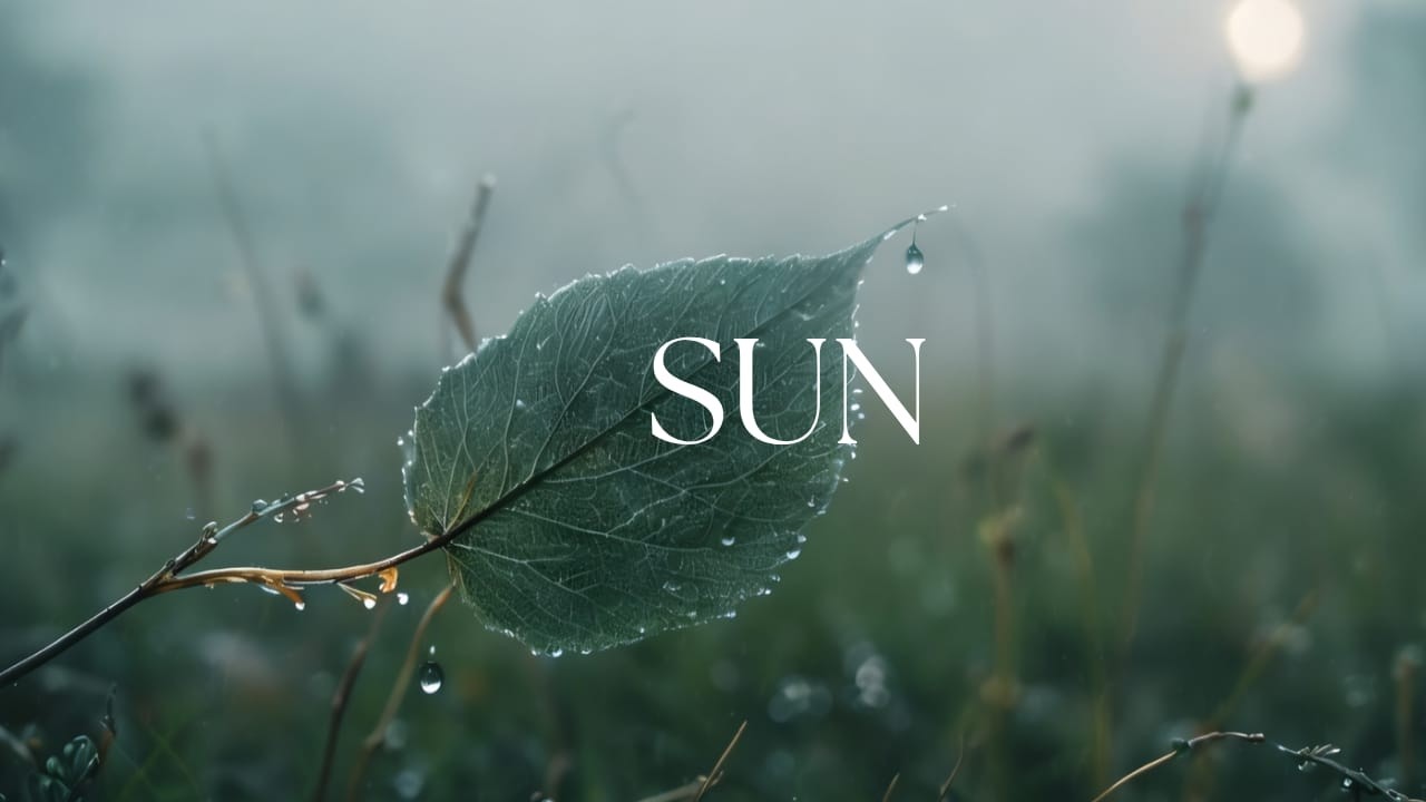 Peaceful Guitar for Stress Relief, work and study | HealBeats