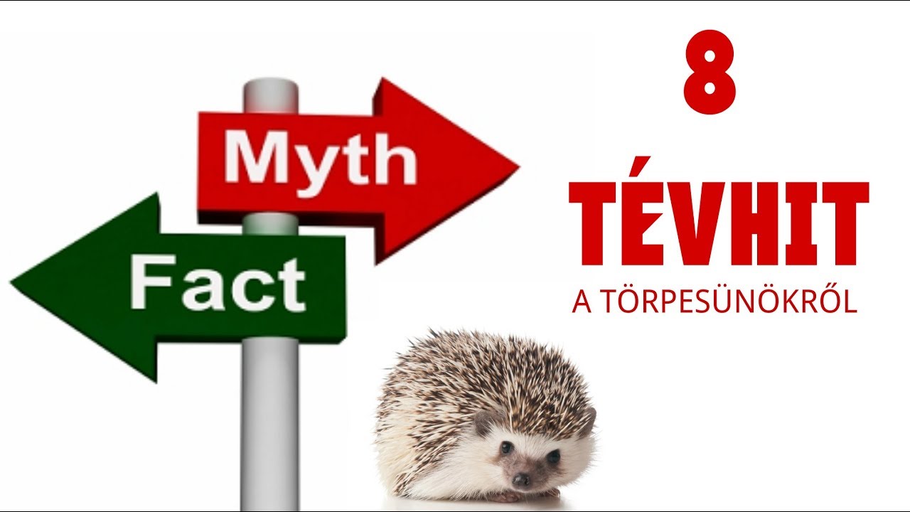 8 tévhit a törpesünökről l Tüskeböki