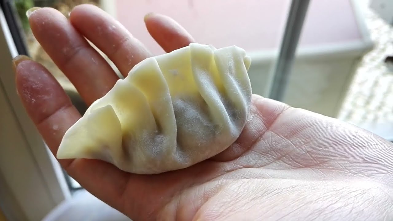 Como Enrolar uma Gyoza &bull; Iguaria