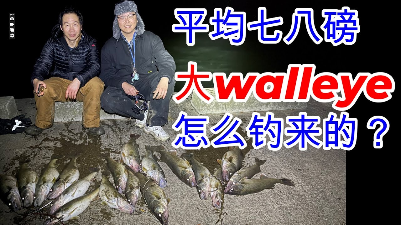 梭鲈walleye夜钓硬饵，三类饵，三种操控方式，伊利湖夜钓不空