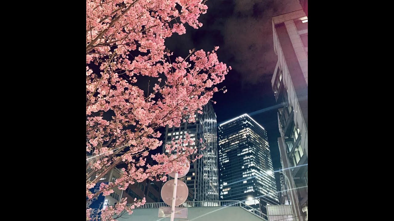 [free] 1nonly x shady moon x aesthetic rap type beat - 