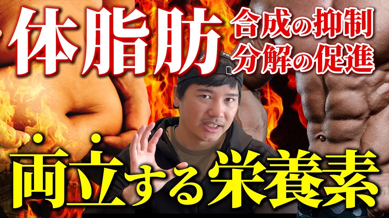 【体脂肪減少】太りにくい＆痩せやすいを両立する有一無二の栄養素!?