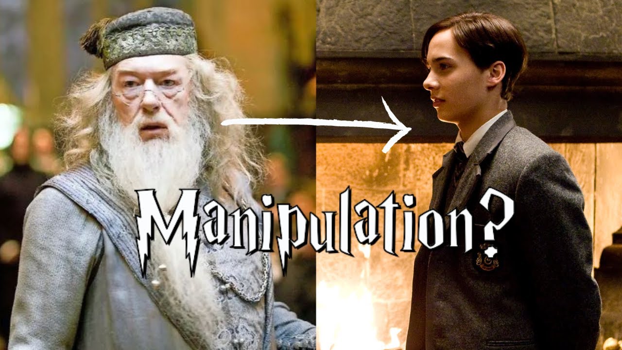 Wie Dumbledore Voldemort von Anfang an MANIPULIERT hat