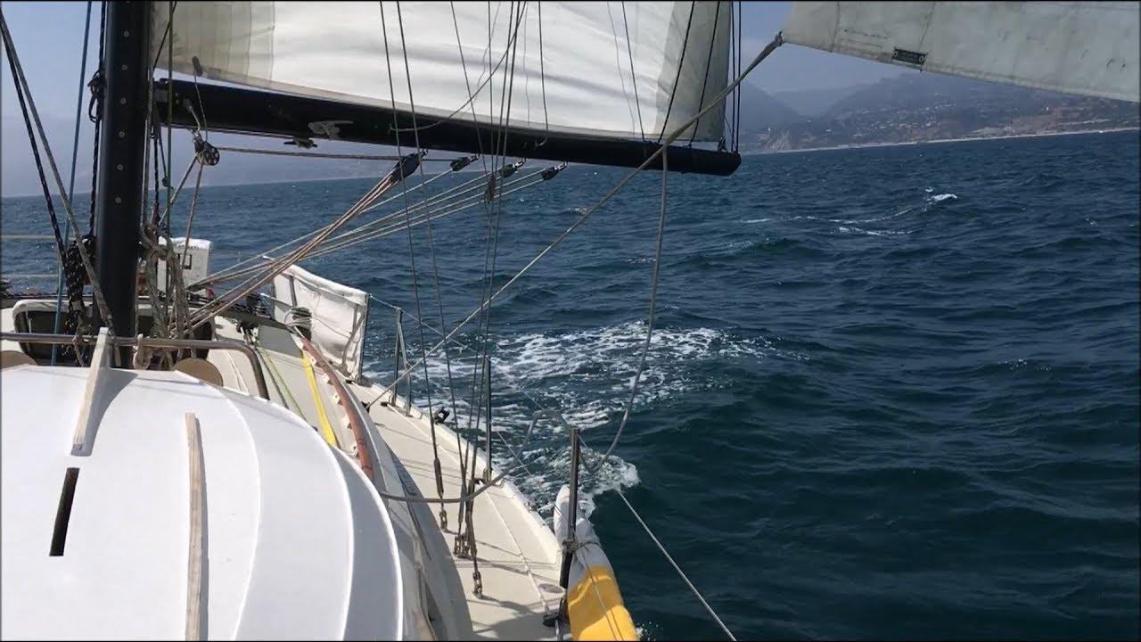 Why We Sail--